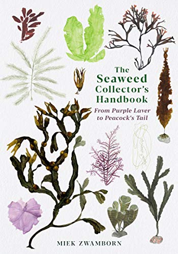 The Seaweed Collector's Handbook: From Purple Laver to Peacock’s Tail von Profile Books