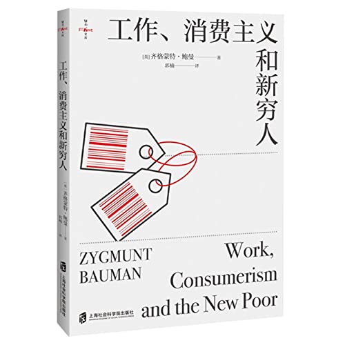 Work, Consumerism and the New Poor (Chinese Edition)