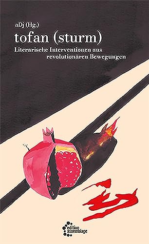 tofan (sturm): Literarische Interventionen aus revolutionären Bewegungen von edition assemblage