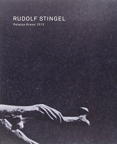 Rudolf Stingel. Palazzo Grassi 2013. Ediz. italiana, inglese e francese (Cataloghi di mostre)
