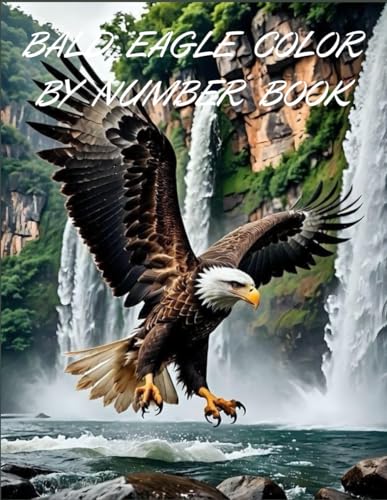 BALD EAGLE COLOR BY NUMBER BOOK von Independently published