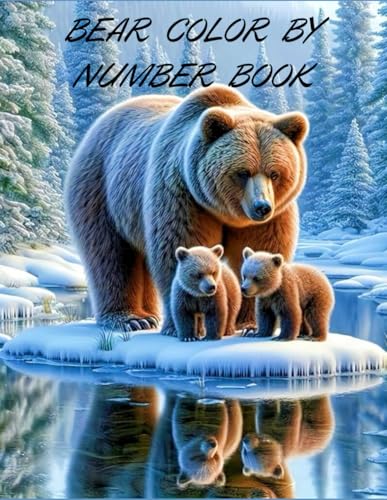 BEAR COLOR BY NUMBER BOOK von Independently published