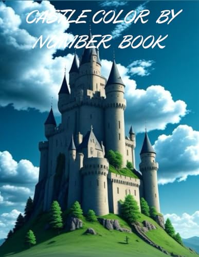 CASTLE COLOR BY NUMBER BOOK von Independently published