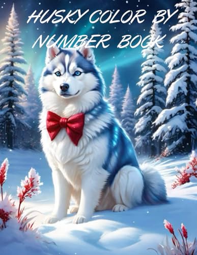HUSKY COLOR BY NUMBER BOOK von Independently published