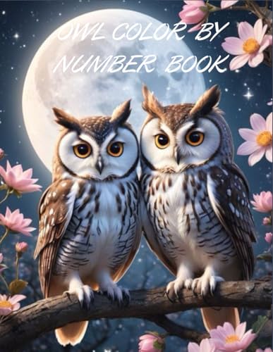 OWL COLOR BY NUMBER BOOK von Independently published