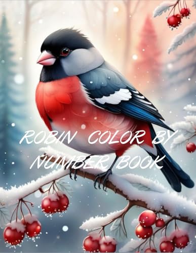 ROBIN COLOR BY NUMBER BOOK von Independently published