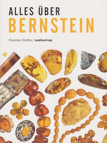 Alles über Bernstein - Hardcover von Florian Isensee GmbH
