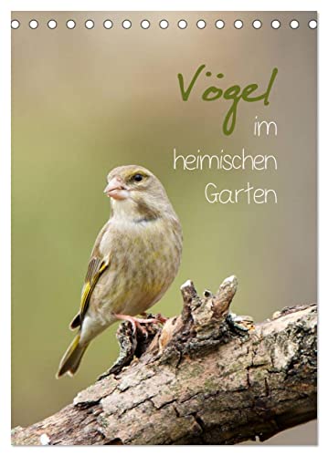Vögel im heimischen Garten (Tischkalender 2024 DIN A5 hoch), CALVENDO Monatskalender von CALVENDO