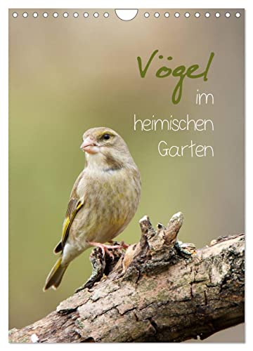 Vögel im heimischen Garten (Wandkalender 2024 DIN A4 hoch), CALVENDO Monatskalender