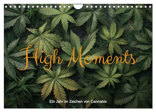 High Moments - Ein Jahr im Zeichen von Cannabis (Wandkalender 2025 DIN A4 quer), CALVENDO Monatskalender von CALVENDO