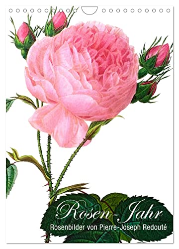 Rosen-Jahr (Wandkalender 2025 DIN A4 hoch), CALVENDO Monatskalender von CALVENDO