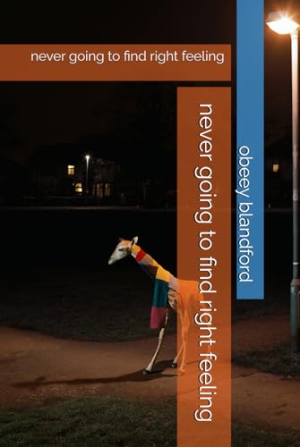 never going to find right feeling: never going to find right feeling von Independently published