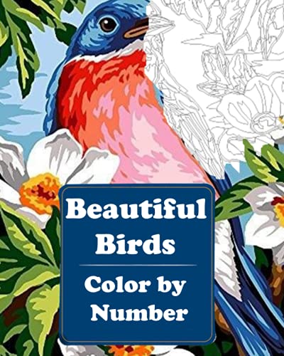 Beautiful Birds Color by Number: Coloring Book for Adults Relaxation & Mindfulness, Perfect Gift Idea for Nature Lovers