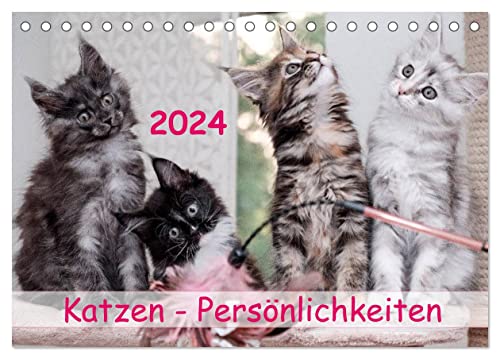 Katzen Persönlichkeiten 2024 (Tischkalender 2024 DIN A5 quer), CALVENDO Monatskalender von CALVENDO