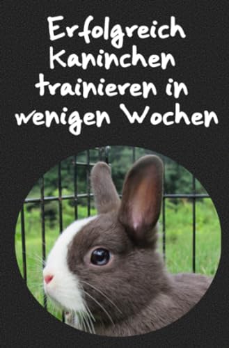 Erfolgreich Kaninchen trainieren in wenigen Wochen: Wie funktioniert das Kaninchen Clickertraining?