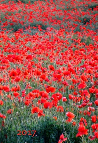 Mini Kalender 2017 - Mohnblumen: ca. A6 - 1 Woche pro Seite Mini Kalender 2017 - Mohnblumen: ca. A6 - 1 Woche pro Seite