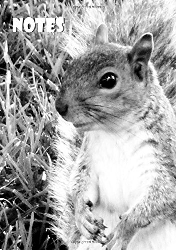 Notizbuch / Tagebuch - A4 - liniert - Eichhörnchen Notizbuch / Tagebuch - A4 - liniert - Eichhörnchen von CreateSpace Independent Publishing Platform