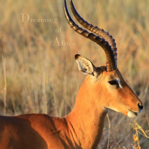 Notizbuch / Tagebuch - quadratisch - "Dreaming of Africa": "sei UNIQUE, schreibe SQUARE" Notizbuch / Tagebuch - quadratisch - "Dreaming of Africa": "sei UNIQUE, schreibe SQUARE" von CreateSpace Independent Publishing Platform