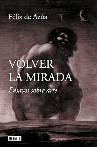 Volver la mirada: Ensayos sobre arte (Ensayo y Pensamiento) von DEBATE