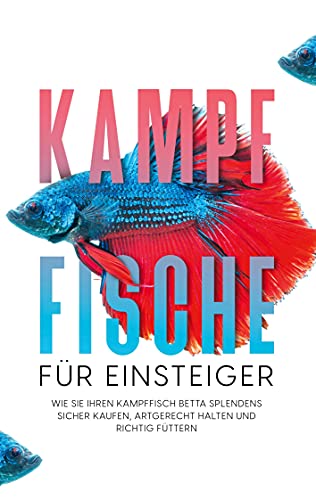 Kampffische für Einsteiger: Wie Sie Ihren Kampffisch Betta splendens sicher kaufen, artgerecht halten und richtig füttern