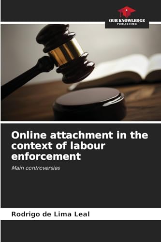 Online attachment in the context of labour enforcement: Main controversies von Our Knowledge Publishing