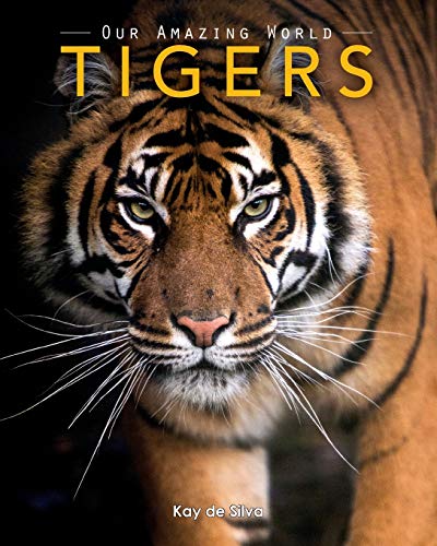 Tigers: Amazing Pictures & Fun Facts on Animals in Nature (Our Amazing World Series)