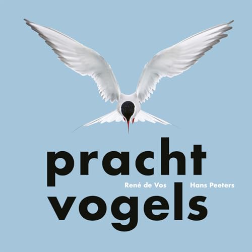 Prachtvogels von Uitgeverij Noordboek