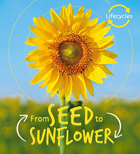 Lifecycles: Seed to Sunflower: 1 von QED Publishing