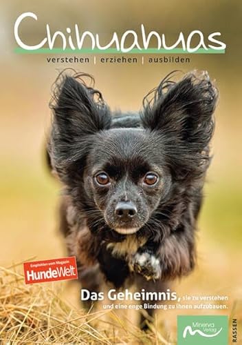 Chihuahuas: verstehen | erziehen | ausbilden von Minerva Verlag