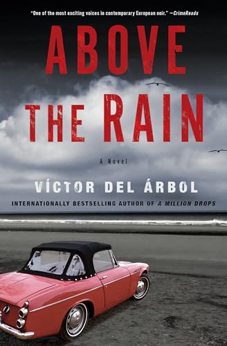 Above the Rain: A Novel von Other Press