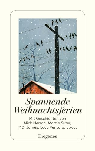 Spannende Weihnachtsferien (detebe) von Diogenes Verlag AG