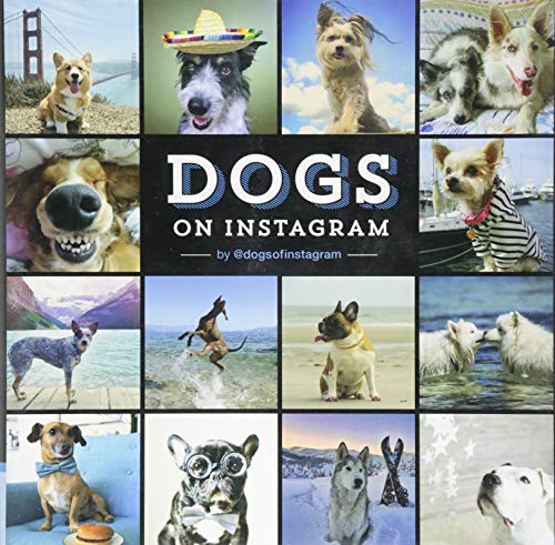 Dogs on Instagram von Chronicle Books