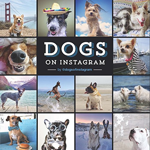 Dogs on Instagram von Chronicle Books