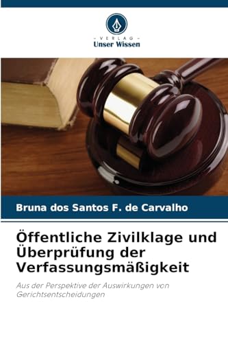 Öffentliche Zivilklage und Überprüfung der Verfassungsmäßigkeit: Aus der Perspektive der Auswirkungen von Gerichtsentscheidungen von Verlag Unser Wissen