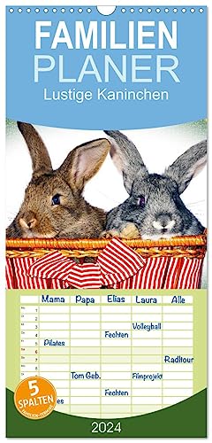 Familienplaner 2024 - Lustige Kaninchen mit 5 Spalten (Wandkalender, 21 cm x 45 cm) CALVENDO