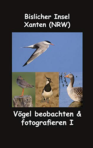 Bislicher Insel - Xanten (NRW): Vögel beobachten & fotografieren I