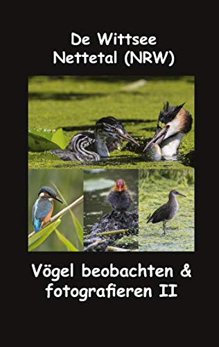 De Wittsee - Nettetal (NRW): Vögel beobachten & fotografieren II