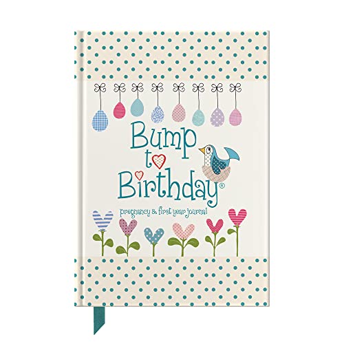 Bump to Birthday, Pregnancy & First Year Journal (Parent & Child)