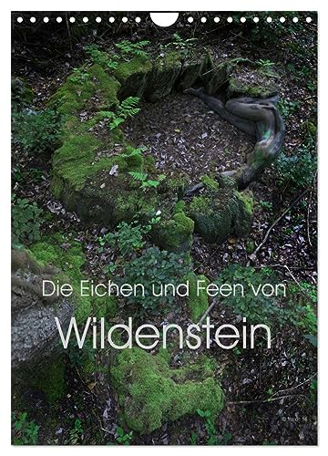 Die Eichen und Feen von Wildenstein (Wandkalender 2024 DIN A4 hoch), CALVENDO Monatskalender