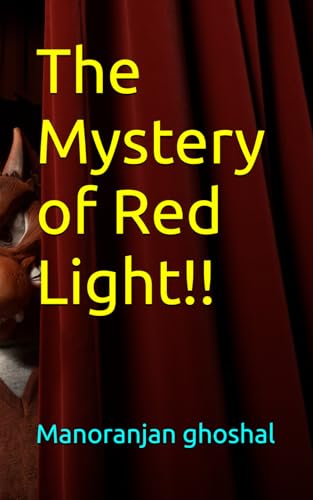 The Mystery of Red Light!! (DETECTIVE DUJO SERIES, Band 2) von Independently published