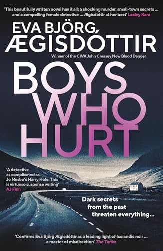 Boys Who Hurt: Volume 5 (Forbidden Iceland, 5, Band 5) von Orenda Books