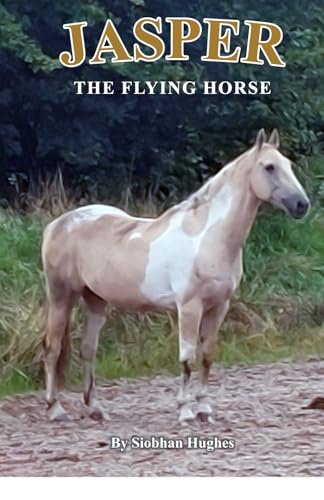 Jasper the Flying Horse von Nielsen Independent publishing