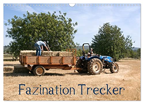 Fazination Trecker (Wandkalender 2025 DIN A3 quer), CALVENDO Monatskalender von CALVENDO