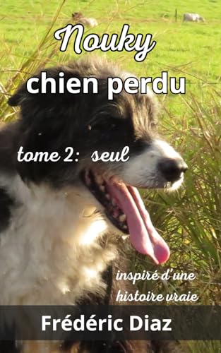 Nouky chien perdu tome 2 : seul von afnil