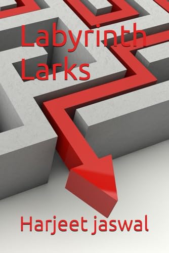 Labyrinth Larks von Independently published