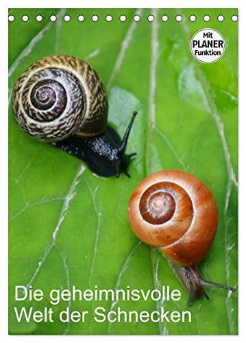 Die geheimnisvolle Welt der Schnecken (Tischkalender 2025 DIN A5 hoch), CALVENDO Monatskalender von CALVENDO