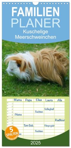 Familienplaner 2025 - Kuschelige Meerschweinchen mit 5 Spalten (Wandkalender, 21 cm x 45 cm), CALVENDO
