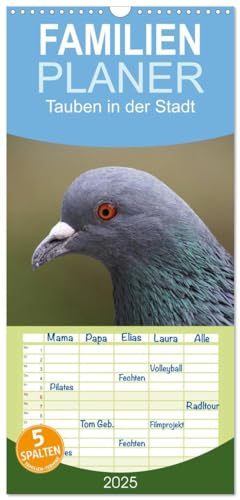 Familienplaner 2025 - Tauben in der Stadt mit 5 Spalten (Wandkalender, 21 cm x 45 cm), CALVENDO