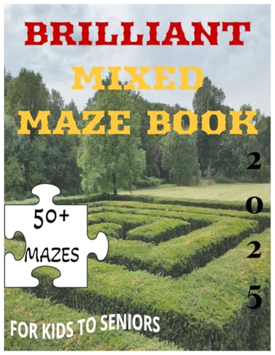 BRILLIANT MAZE BOOK: FOR KIDS TO SENIORS: 50+ EXCITING PUZZLES; GET READY TO CHALLENGE YOUR MIND THIS SUMMER von Independently published