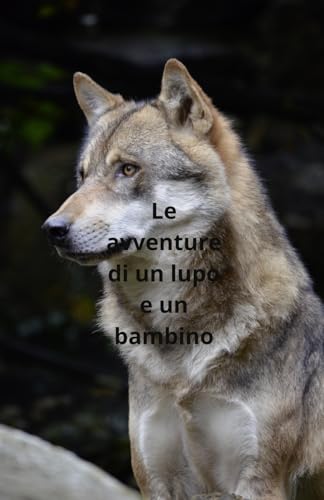 Il lupo e un bambino: avventure von Independently published